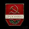 Знак «Дружинник», эмаль, ЛМД, Аукцион: Anumis от 1 RUB