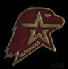 Знак «Юнармия», Аукцион: Anumis от 1 RUB