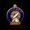 Знак «Турист СССР», эмаль, Аукцион: Anumis от 1 RUB