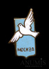 Знак «Голубь мира. Фестиваль-1957», эмаль, Аукцион: Anumis от 1 RUB