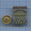 Знак «Мастер спорта международного класса» (тяжелый) ММД, Аукцион: Anumis от 1 RUB