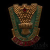 Знак «Участнику уборки урожая на целине ЦК ВЛКСМ», Аукцион: Anumis от 1 RUB
