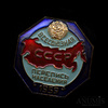 Знак «Всесоюзная перепись населения 1959», эмаль, МД, Аукцион: Anumis от 1 RUB