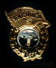 Знак нагрудный «Гвардия СССР», эмаль, винт, Аукцион: Anumis от 1 RUB