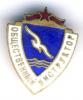 Знак ДСО "Буревестник" Общественный инструктор, Аукцион: Conros за 220 RUB