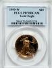 1999-W G$25 Half-Ounce Gold Eagle PR70 Deep Cameo PCGS. PCGS
Population (113). NGC Census: (340). Numismedia Wsl. Price fo..., Аукцион: Heritage за 1 704руб