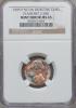1995-P 5C Jefferson Nickel -- Struck on a Defective Clad Planchet
(2.54 grams) -- MS65 NGC...., Аукцион: Heritage за 382руб