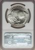 2001-D $1 Buffalo MS69 NGC. NGC Census: (12267/1869). PCGS
Population (14751/1322). Numismedia Wsl. Price for problem free, Аукцион: Heritage за 112руб