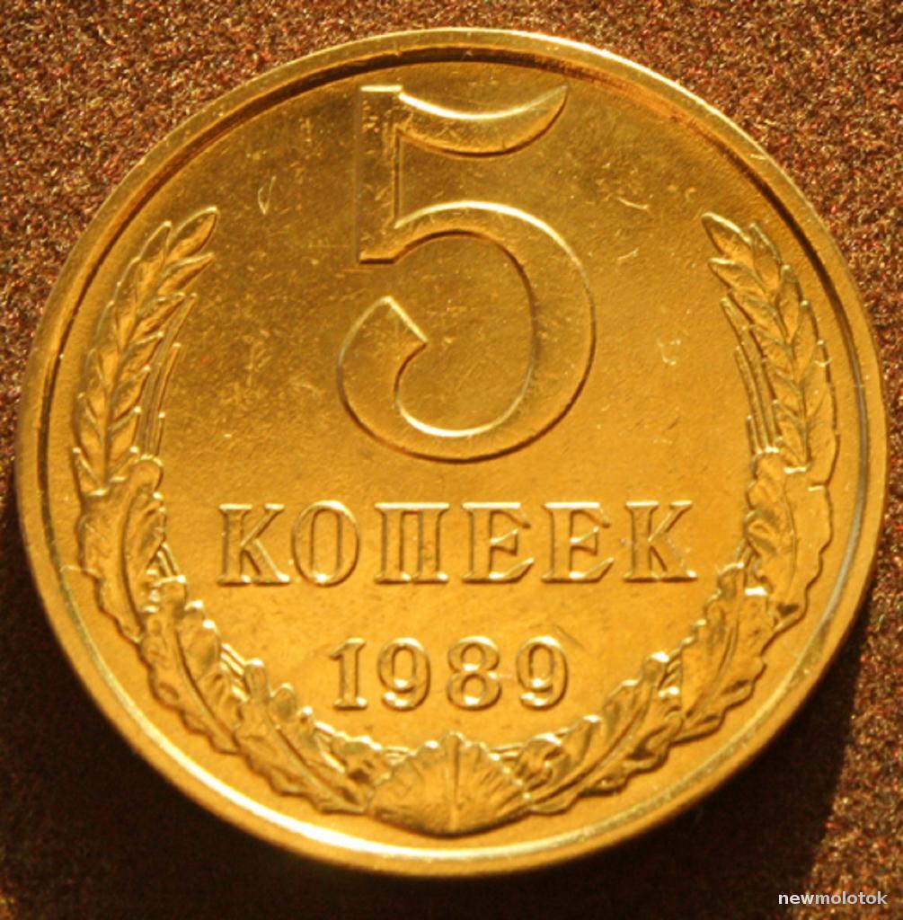 Монета 5 копеек 1989 года. 5 Копеек 1989 года. Монета 1989 СССР 5 коп. Монета 5 копеек 1989. СССР 5 копеек 1989 год.