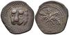William II (1166-1189) Æ Large Follaro, Messina. Lion’s head three quarter facing / Palm tree in fruit. Spahr 117; MEC 426-31; MIR 36. 9.68g, 25mm, 1h, Аукцион: Roma Numismatics от 20 GBP