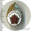 Знак ДСО Красная звезда, Аукцион: Wolmar Standart за 769 RUB