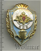 Знак Отличник ВДВ, Аукцион: Wolmar Standart за 372 RUB