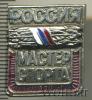 Знак Мастер спорта. Россия, Аукцион: Wolmar Standart за 239 RUB