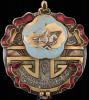Накладка в виде ордена Республики ТАР (Тувинской Аратской Республики), Аукцион: Znak (Знак) от 35 000 RUB
